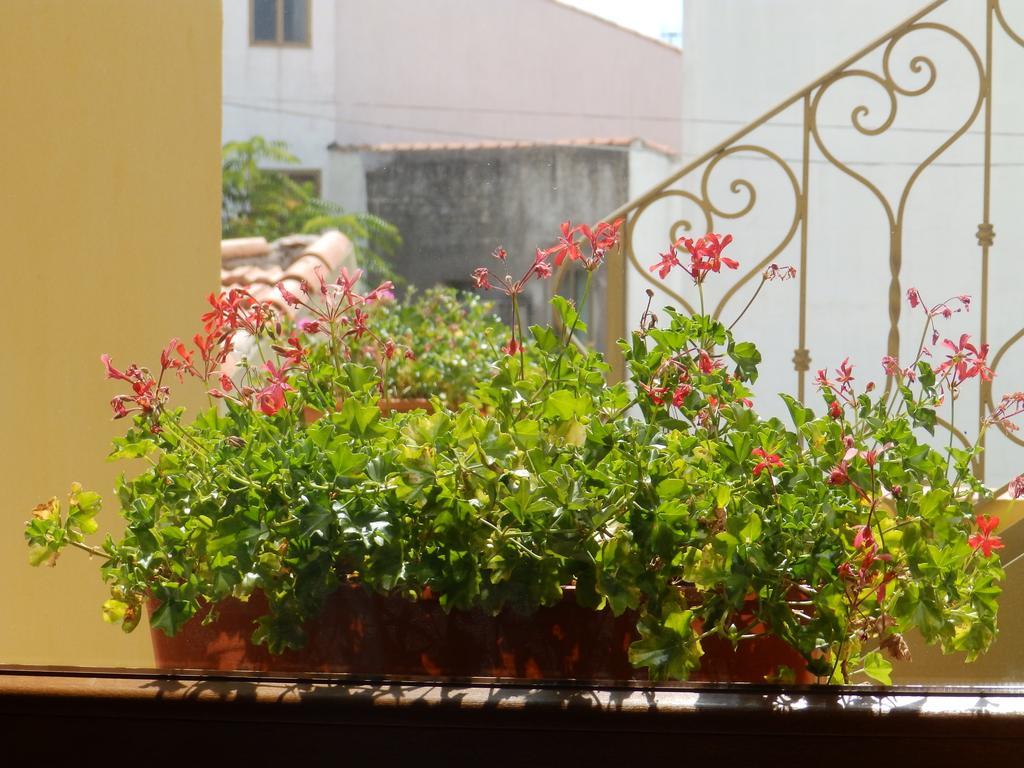 Sa Chessa B&B Ploaghe Kültér fotó